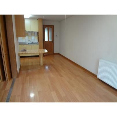 �y���̑��z�@���r���O