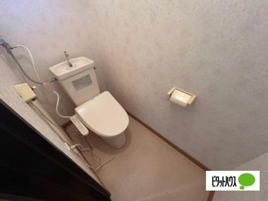 �y���̑��z�@�g�C��