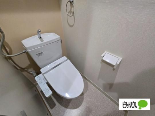 �y���̑��z�@�g�C��