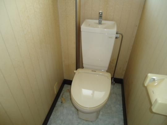 �y���̑��z�@�g�C��