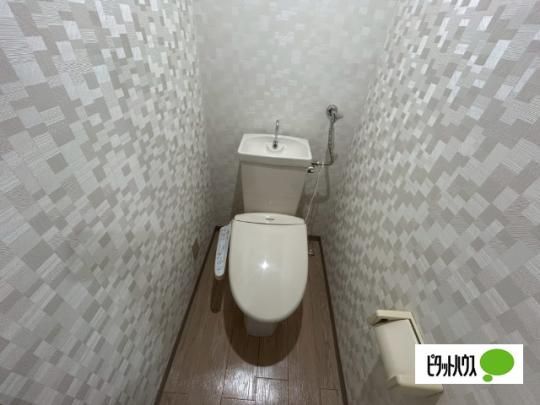 �y���̑��z�@�g�C��