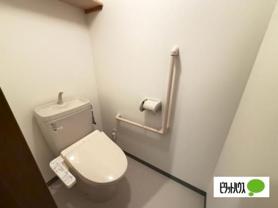 �y���̑��z�@�g�C��