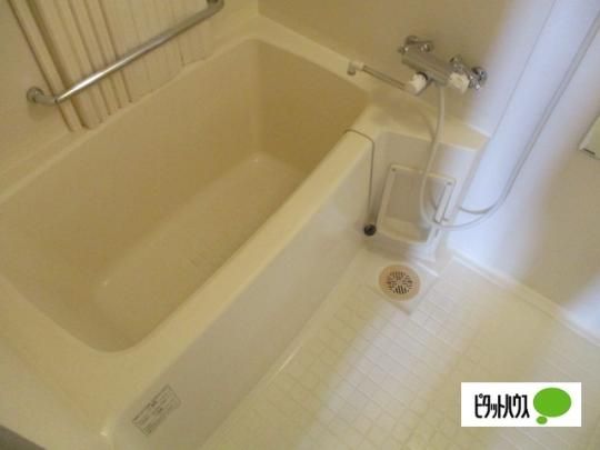 �y���̑��z�@�o�X�^�V�����[