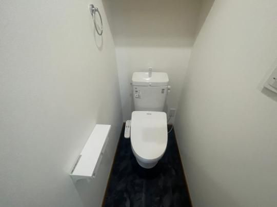 �y���̑��z�@�g�C��
