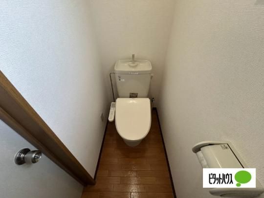 �y���̑��z�@�g�C��