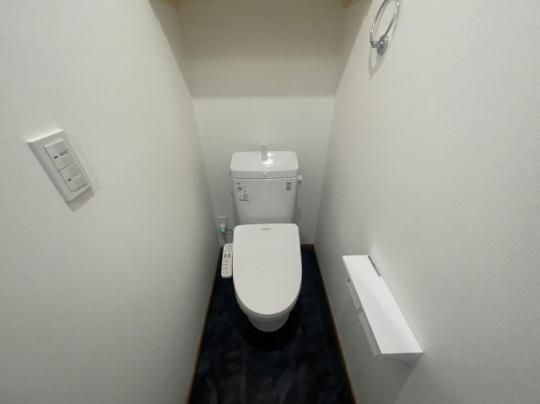 �y���̑��z�@�g�C��