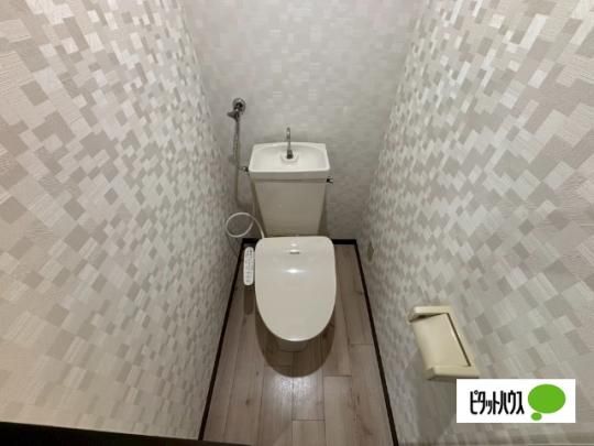 �y���̑��z�@�g�C��