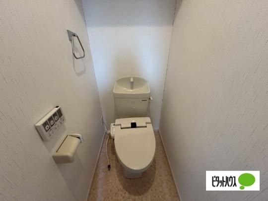 �y���̑��z�@�g�C��