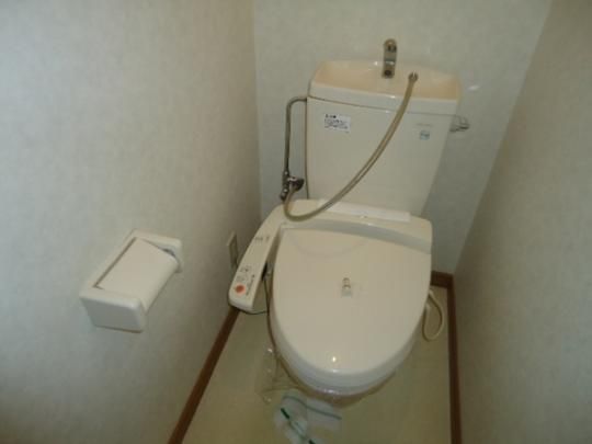 �y���̑��z�@�g�C��