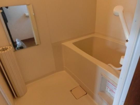 �y���̑��z�@�o�X�^�V�����[