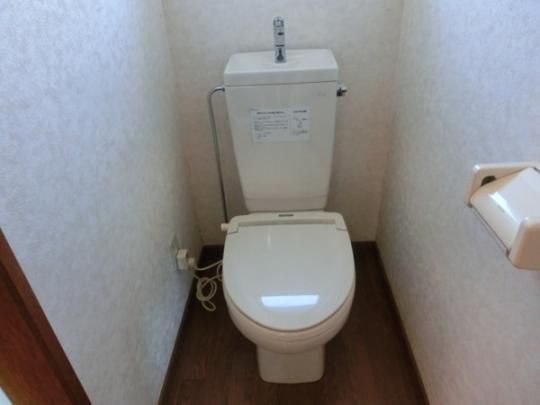 �y���̑��z�@�g�C��