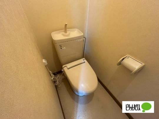 �y���̑��z�@�g�C��