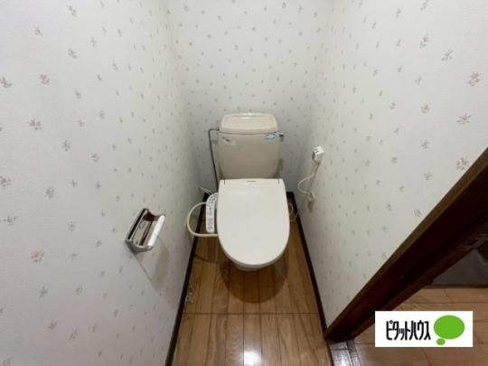 �y���̑��z�@�g�C��
