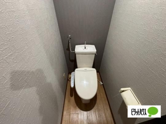 �y���̑��z�@�g�C��