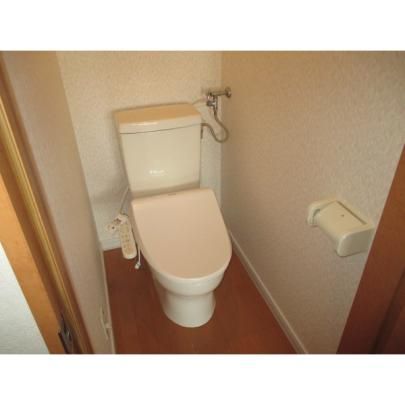 �y���̑��z�@�g�C��