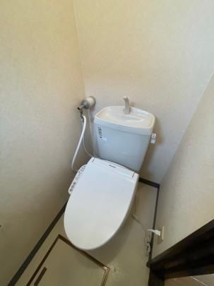 �y���̑��z�@�g�C��