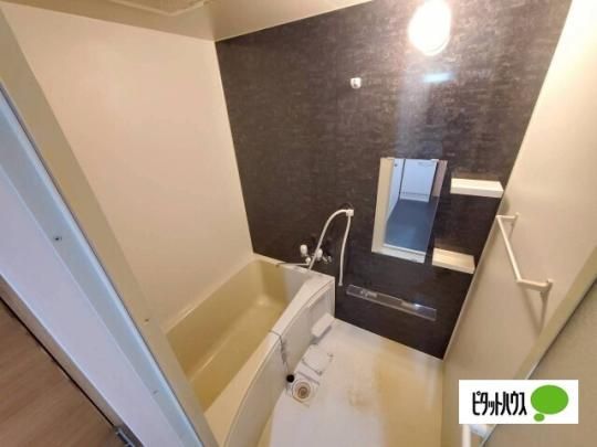 �y���̑��z�@�g�C��