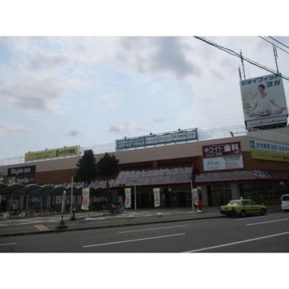 �y���Ӂz�@�R�[�v�����ۂ�A���[���X�F312m