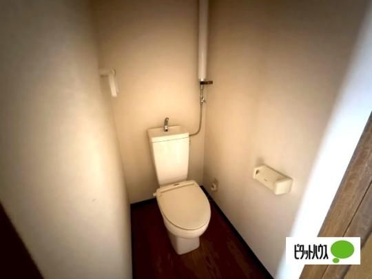 �y���̑��z�@�g�C��