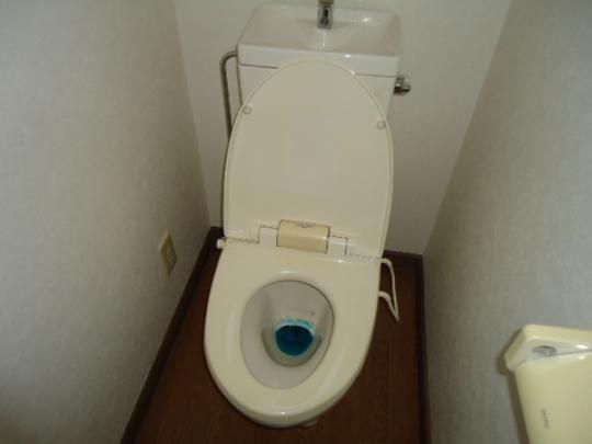 �y���̑��z�@�g�C��