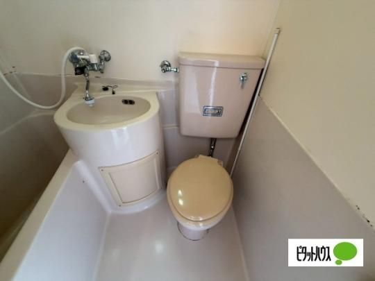 �y���̑��z�@�g�C��
