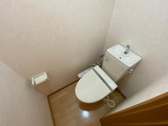 �y���̑��z�@�g�C��