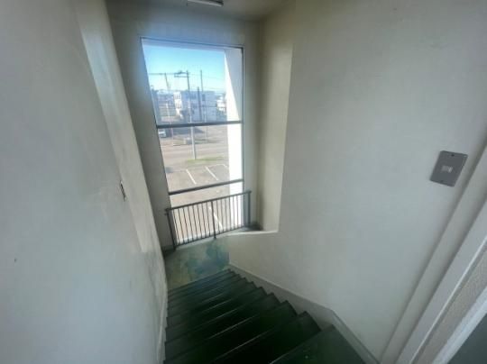 �y�����O�ρz�@�G���g�����X