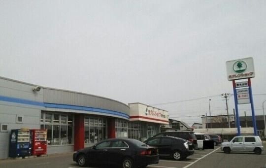 �y���Ӂz�@�z�N�����V���b�v�F650m