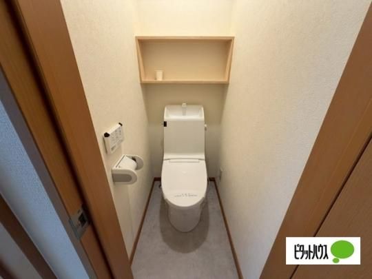 �y���̑��z�@�g�C��