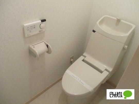 �y���̑��z�@�g�C��
