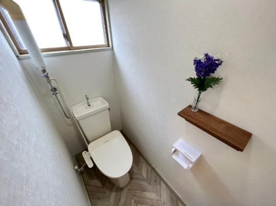 �y���̑��z�@�g�C��
