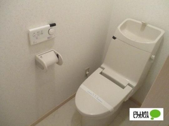 �y���̑��z�@�g�C��