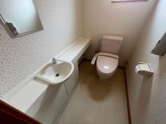 �y���̑��z�@�g�C��