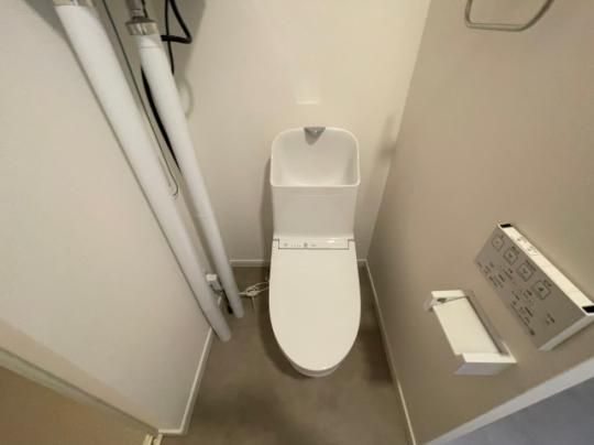 �y���̑��z�@�g�C��