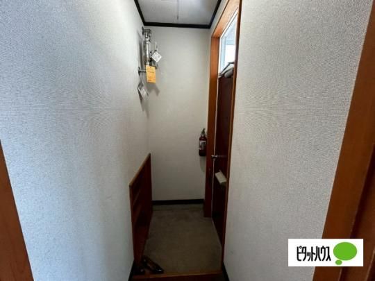 �y���̑��z�@�g�C��
