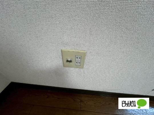 �y���̑��z�@�o���R�j�[