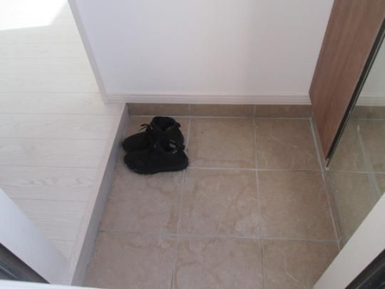 �y���̑��z�@����