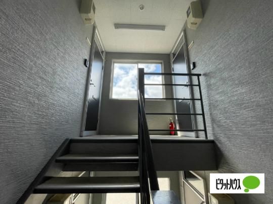 �y�����O�ρz�@���r�[