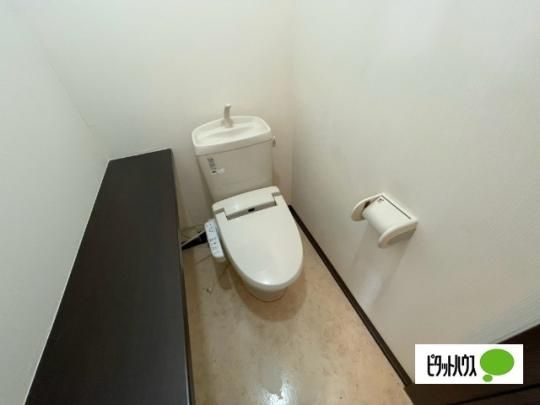 �y���̑��z�@�g�C��