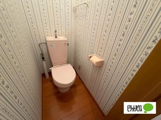 �y���̑��z�@�g�C��