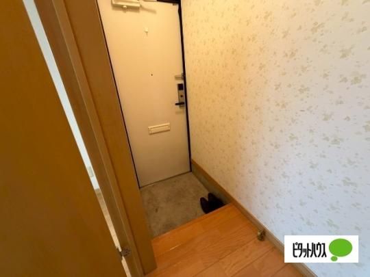 �y���̑��z�@����