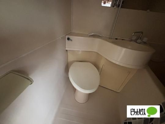 �y���̑��z�@�g�C��