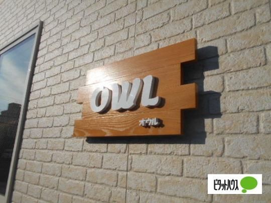 �y�����O�ρz�@���̑�