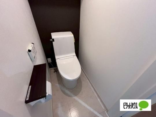 �y���̑��z�@�g�C��