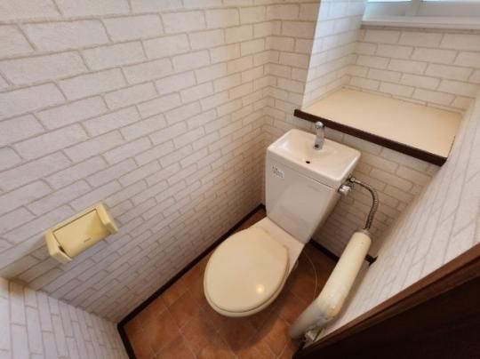 �y���̑��z�@�g�C��