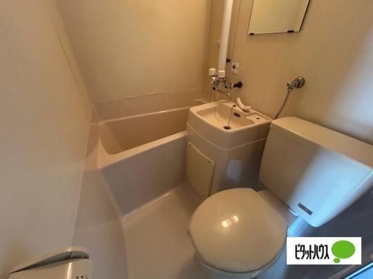 �y���̑��z�@�g�C��