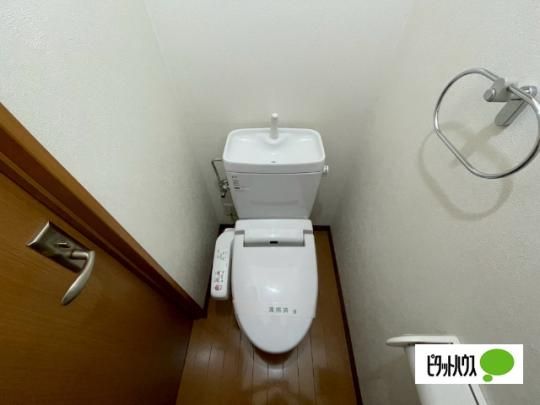 �y���̑��z�@�g�C��