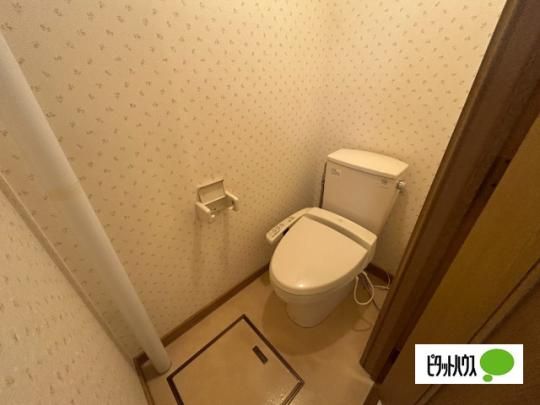 �y���̑��z�@�g�C��