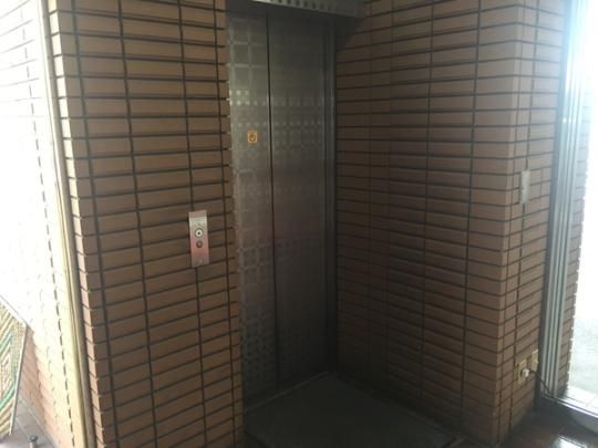 �y�����O�ρz�@�G���g�����X