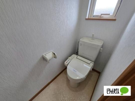 �y���̑��z�@�g�C��